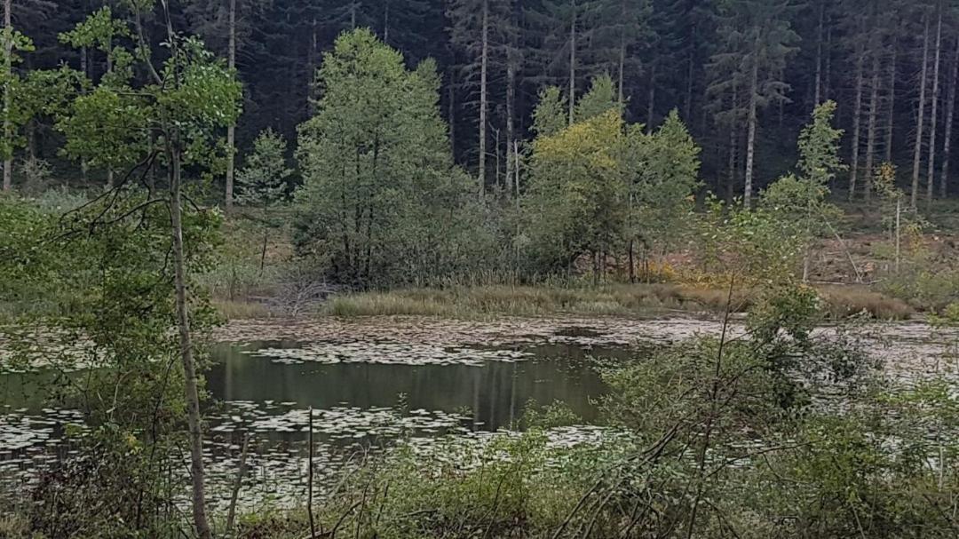 Gite La Censiere Chatel-de-Joux Exterior foto